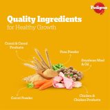 Pedigree Adult Dry Dog Food, Chicken & Vegetables, 20 kg, Contains 37 Essential Nutrients, 100% Complete & Balanced Food for Adult Dogs - Image 4