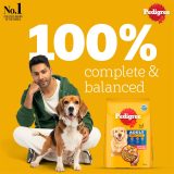 Pedigree Adult Dry Dog Food, Chicken & Vegetables, 20 kg, Contains 37 Essential Nutrients, 100% Complete & Balanced Food for Adult Dogs - Image 7