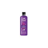 Lozalo Floral Aromatherapy Pet Conditioning Shampoo- 250 ml, Orchid Fragrance | Odour Control Shampoo for Dogs & Cats | with Aloe Vera Extract and Chamomile Oil