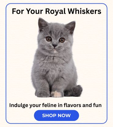 Cat-Food