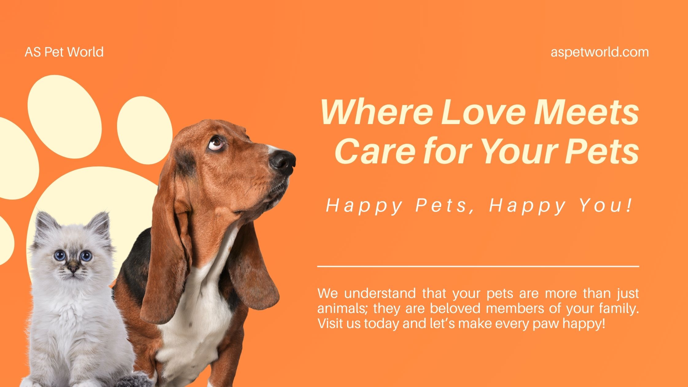 Daily Routine Ideas for Busy Pet Parents