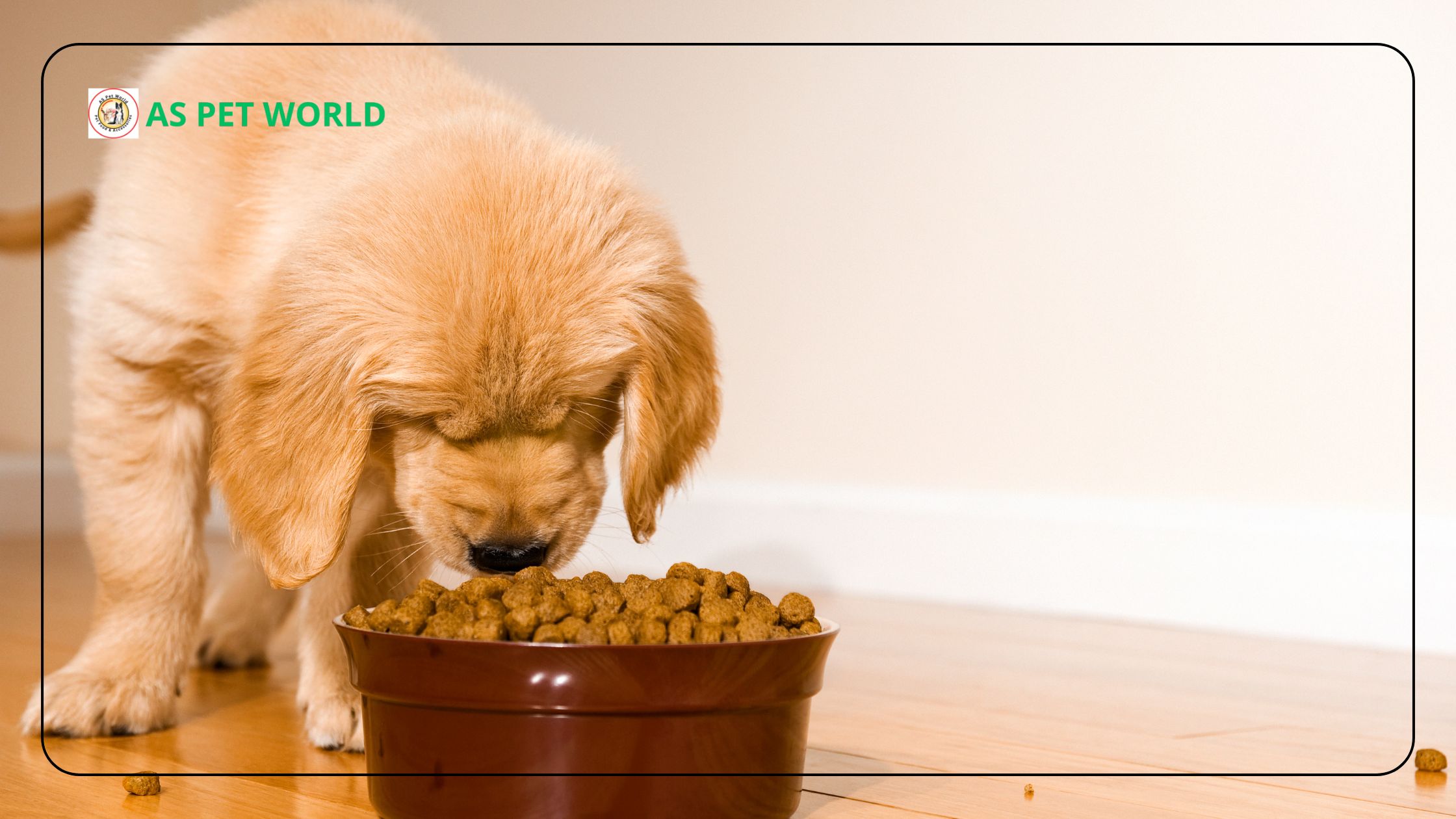 Best Deals on Drools Puppy Food in India